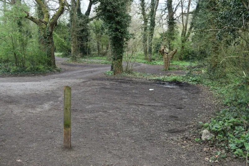 Your Car Rolls Uphill Here. Physicists Have Checked. It Still Does.