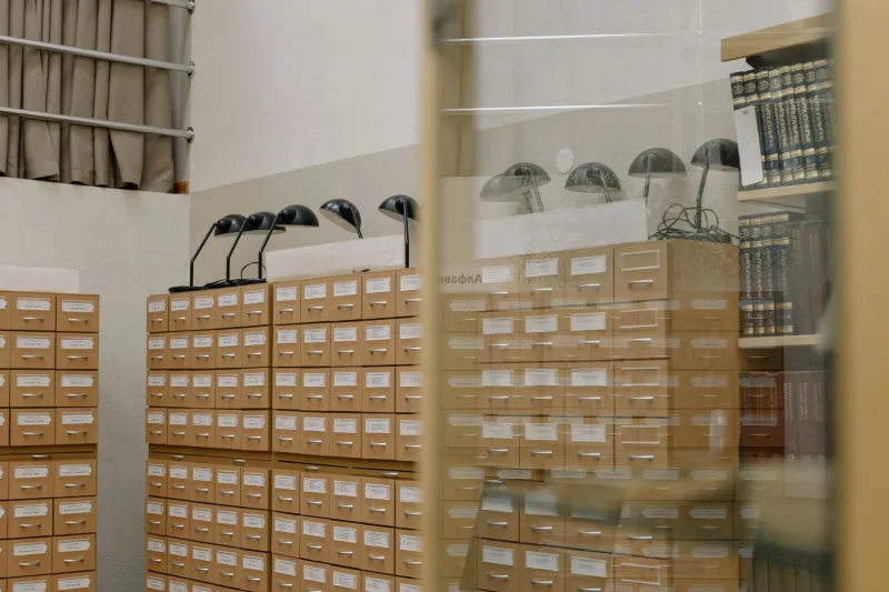 The Library Card That Wouldn't Die: How a Slip of Paper Outlived Five Generations