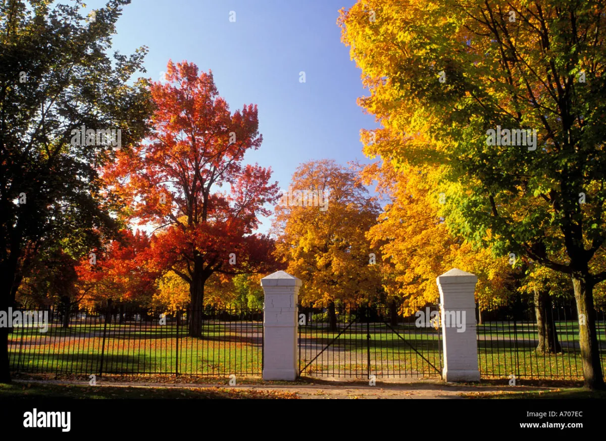 Saratoga Springs