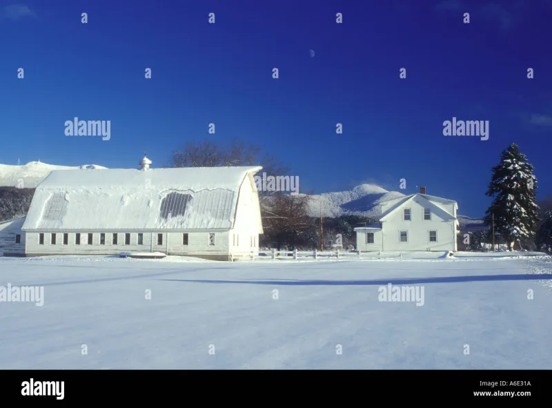 Every Single Year for 47 Years, This Vermont Town Mailed the Same Complaint to Congress